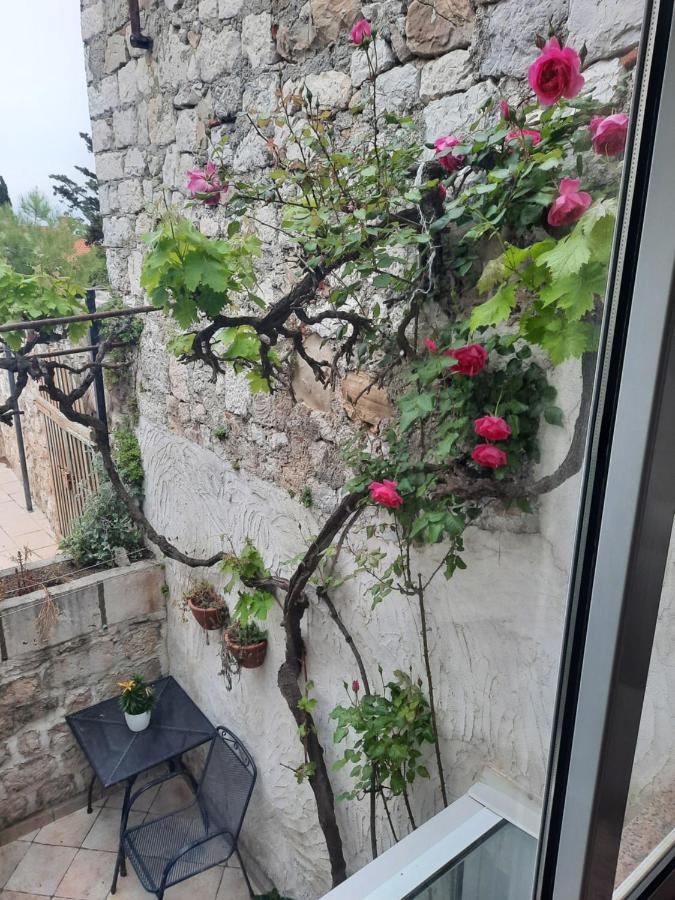 Old Town Rab Ivana